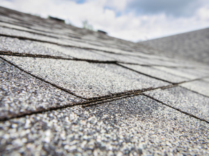 Expert roofing contractor from Maple Grove conducting a comprehensive roof inspection for optimal home safety.