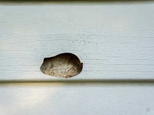 Damaged siding on a house in Maple Grove